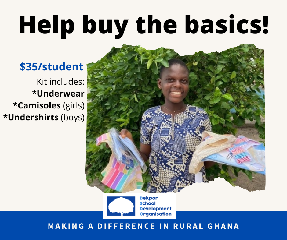 ad for $35 per kit and shows a girl holding her underwear and camisole